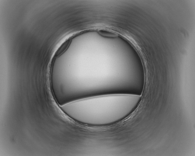X0000115601392200911100943
