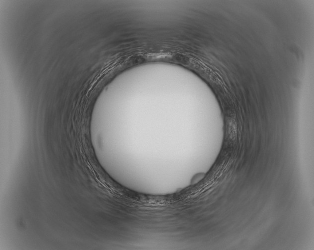 X0000115601393200911100942