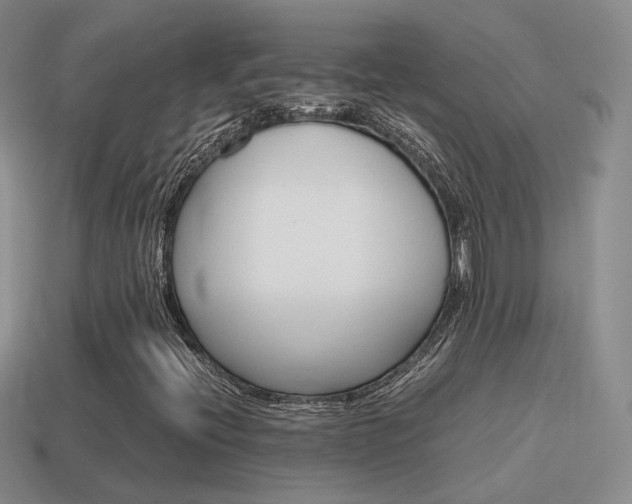 X0000115601396200911100942
