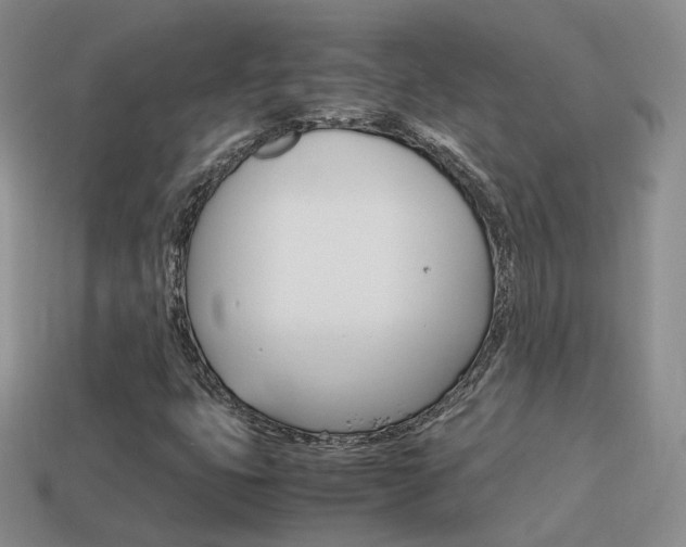 X0000115601399200911100942