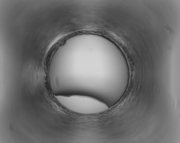 X0000115601400200911100942