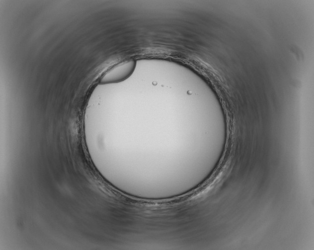 X0000115601401200911100942