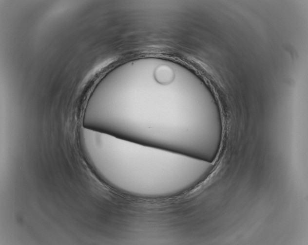 X0000115601402200911100942