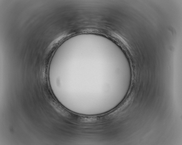 X0000115601403200911100942