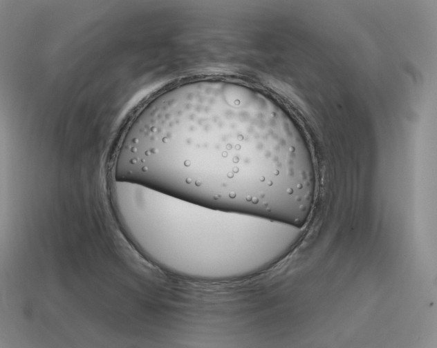 X0000115601404200911100942