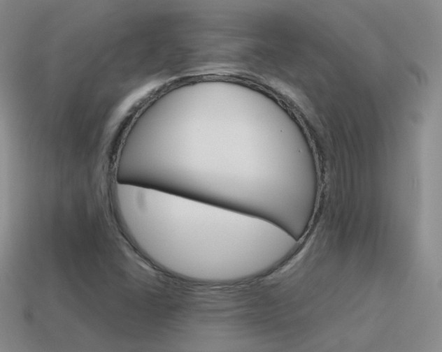 X0000115601406200911100942