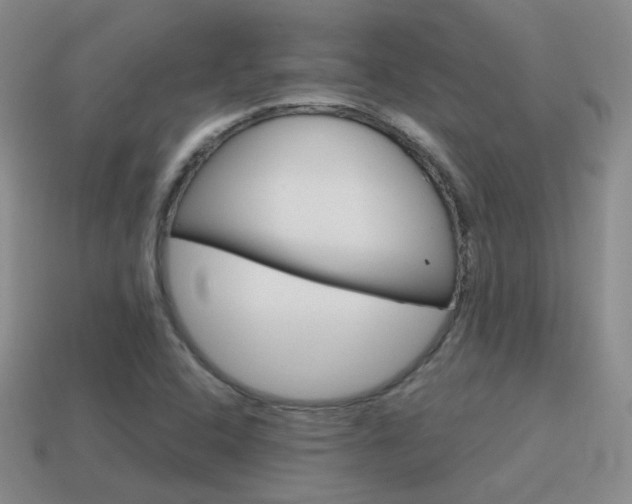 X0000115601408200911100942