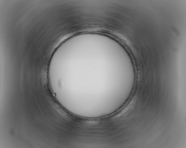 X0000115601409200911100942