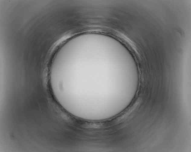 X0000115601411200911100942