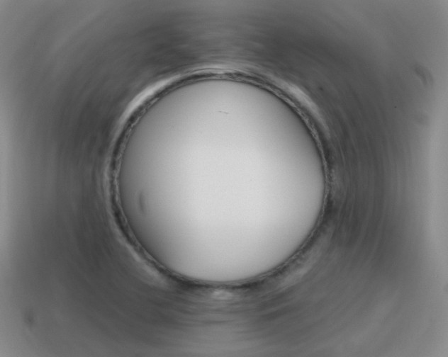 X0000115601412200911100942