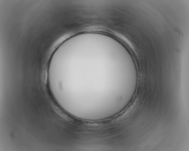 X0000115601413200911100942