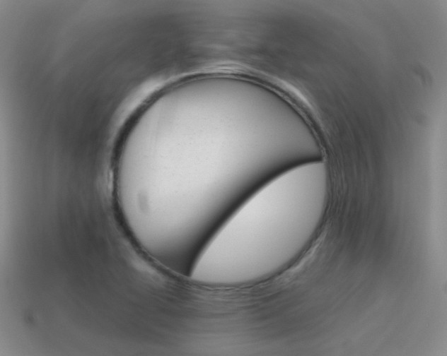X0000115601414200911100943