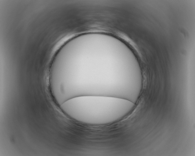 X0000115601415200911100943