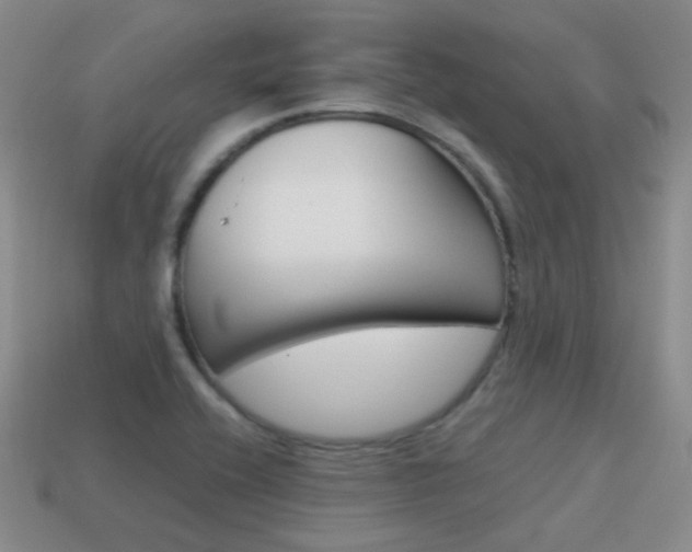 X0000115601416200911100943