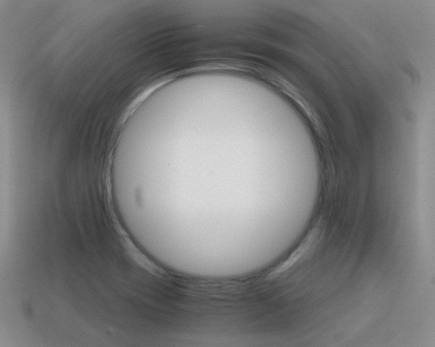 X0000115601417200911100943