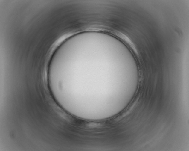 X0000115601419200911100943