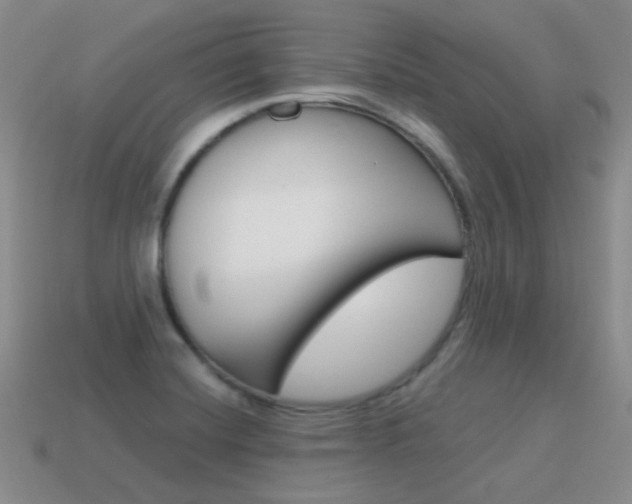 X0000115601420200911100943