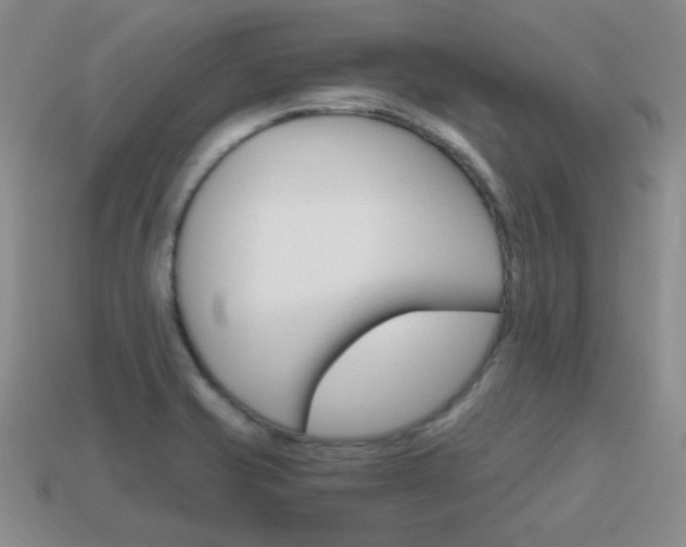 X0000115601421200911100943