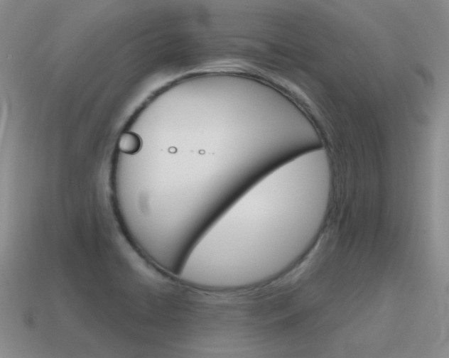 X0000115601422200911100943