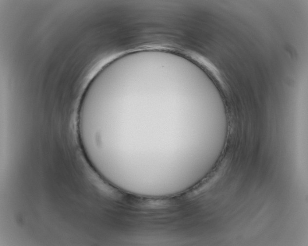 X0000115601423200911100943