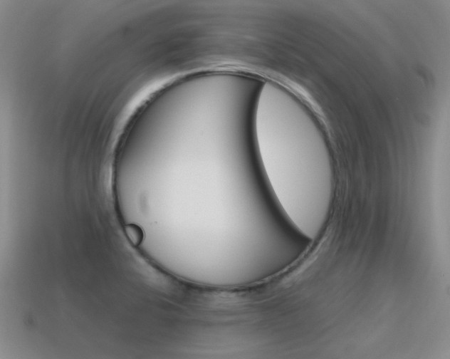 X0000115601424200911100943