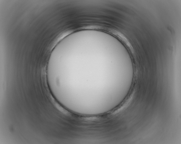 X0000115601425200911100943