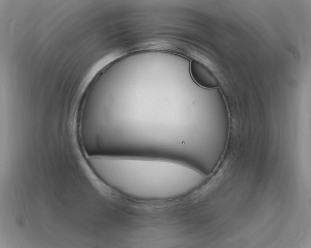 X0000115601426200911100943