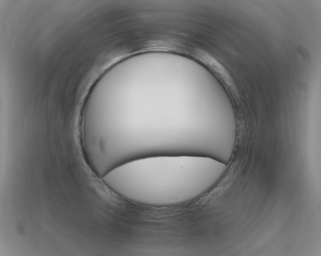 X0000115601427200911100943