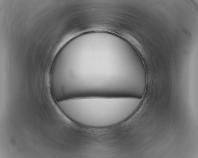 X0000115601428200911100943