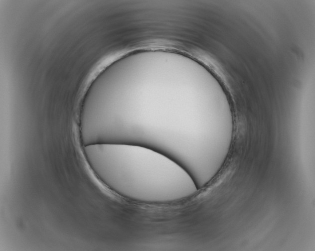X0000115601429200911100943