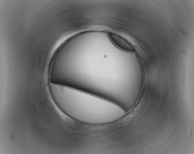 X0000115601430200911100943
