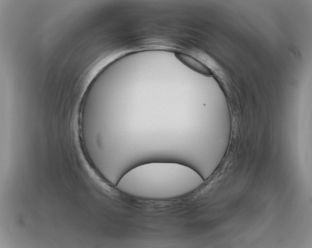 X0000115601431200911100943