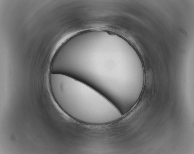 X0000115601432200911100943