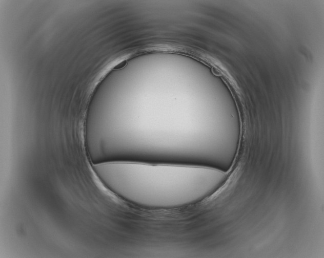 X0000115601433200911100943