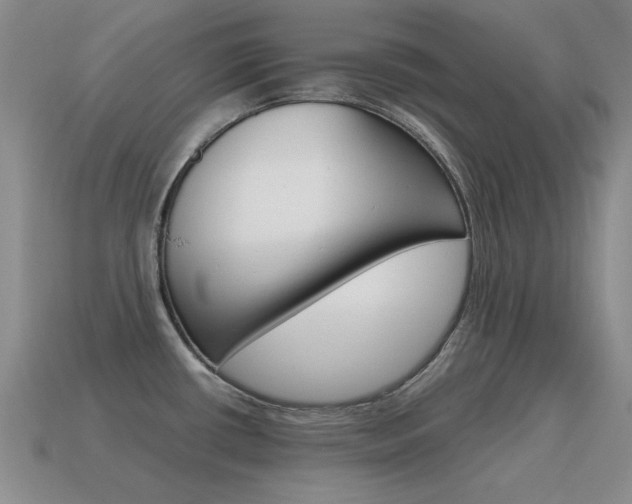 X0000115601434200911100943