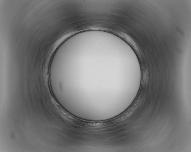 X0000115601435200911100943