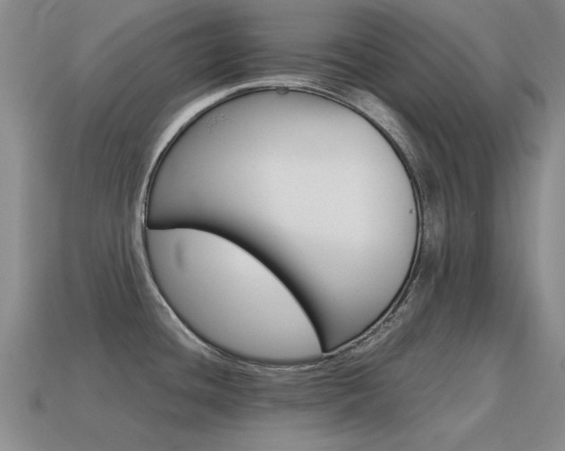 X0000115601436200911100943