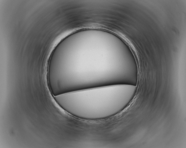 X0000115601437200911100943