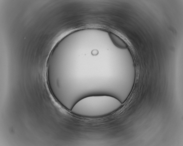 X0000115601439200911100943