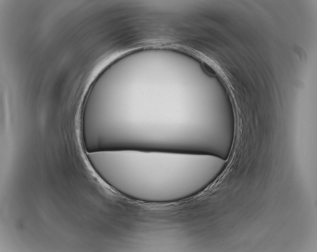 X0000115601440200911100943