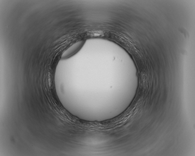 X0000115601442200911100942