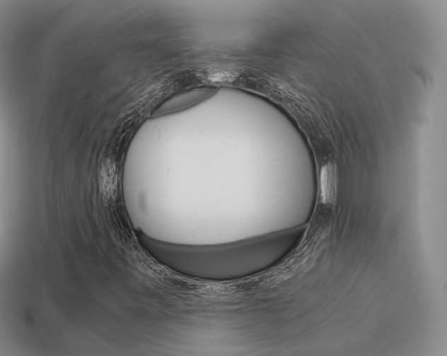 X0000115601443200911100942