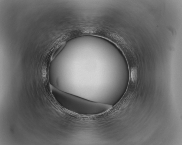 X0000115601444200911100942