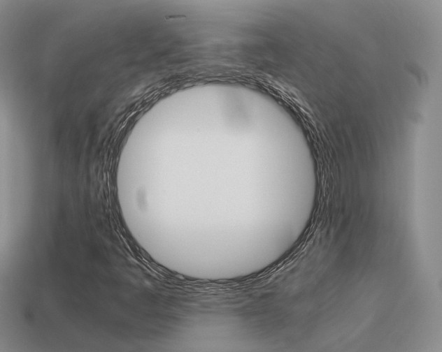 X0000115601445200911100942