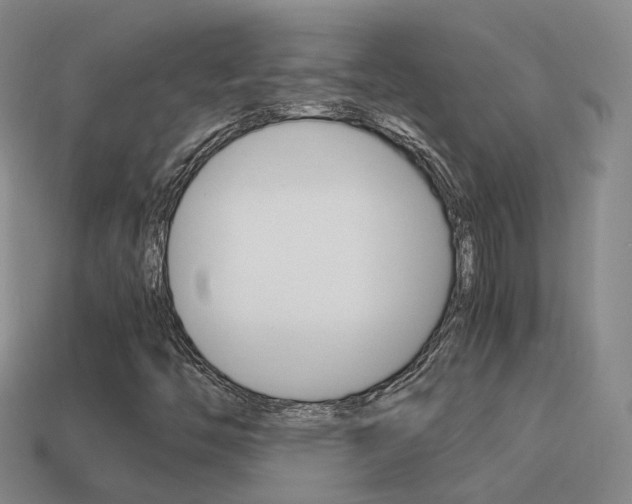 X0000115601446200911100942