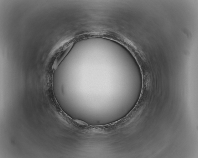 X0000115601448200911100942