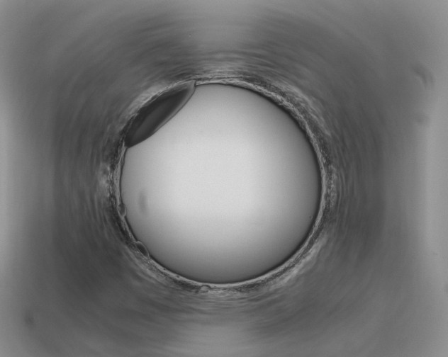 X0000115601449200911100942