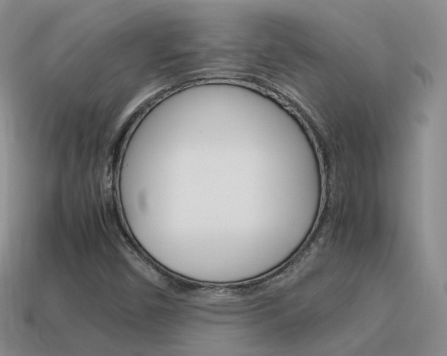X0000115601450200911100942