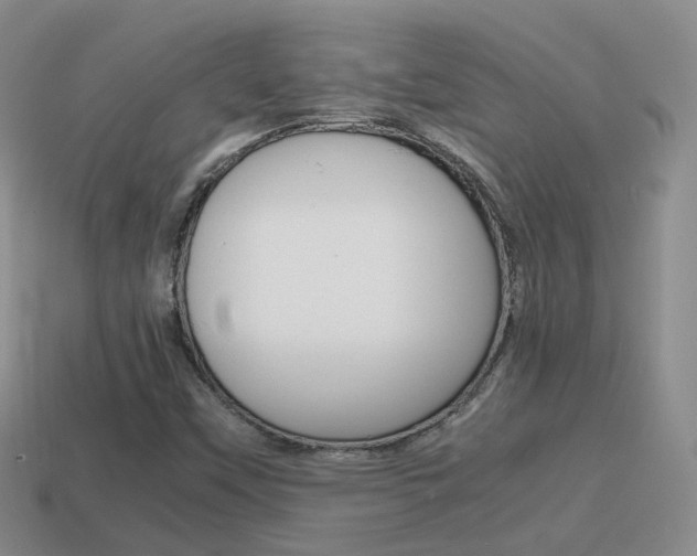X0000115601451200911100942