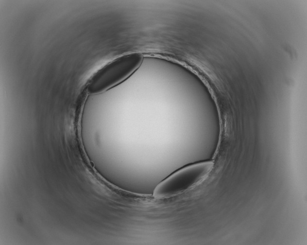 X0000115601452200911100942